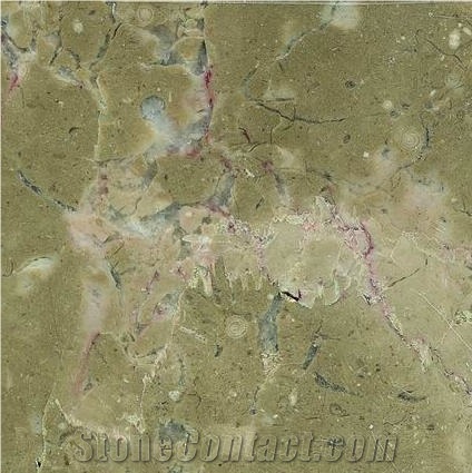 Bosy Grey Limestone importance=