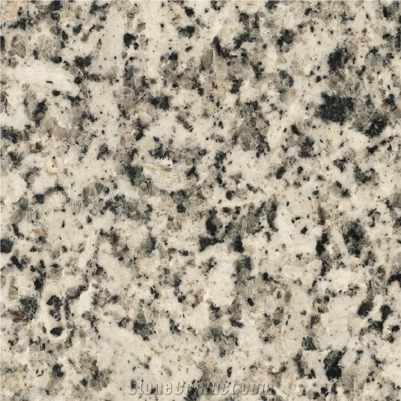Branco Caravela Tile