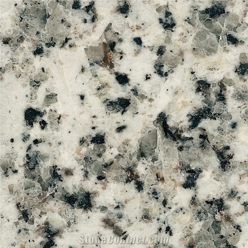 Branco Caravela Tile