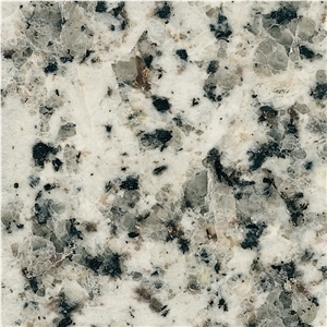 Branco Caravela Tile