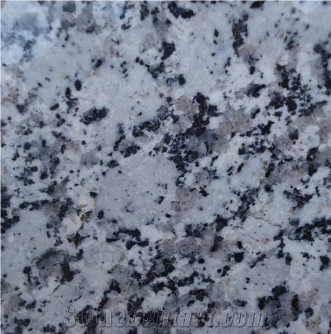 Branco Guimaraes Tile
