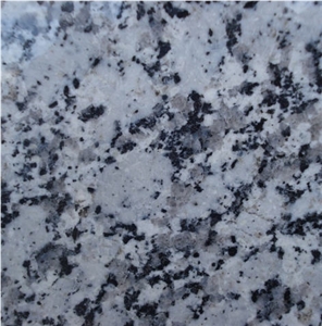 Branco Guimaraes Tile