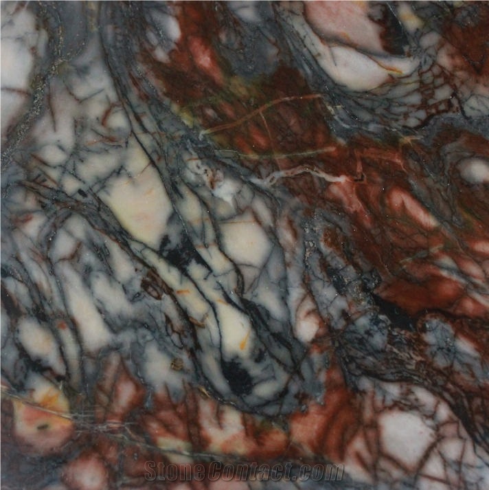 Brazil Multicolor Marble importance=