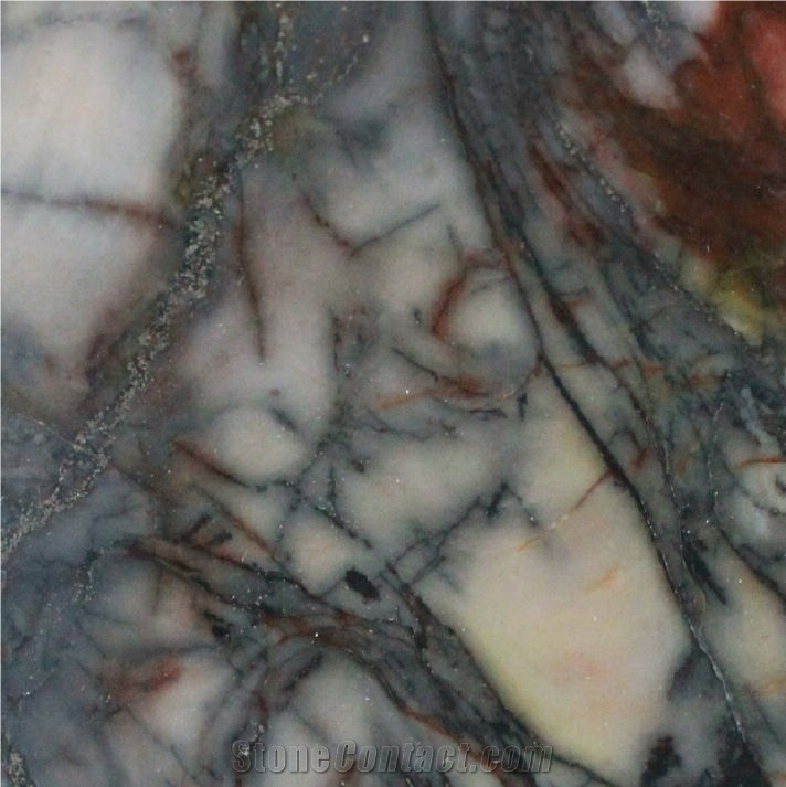 Brazil Multicolor Marble Tile