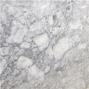 Brazilian Arabescato Marble Tile