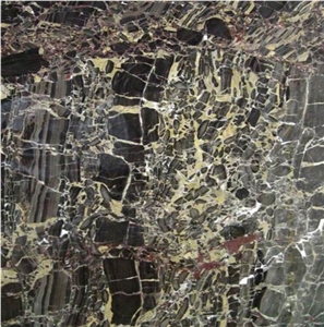 Breccia Antica