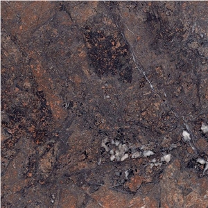 Breccia Imperiale Quartzite Tile