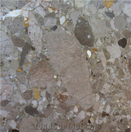 Breccia Irpina Marble Tile