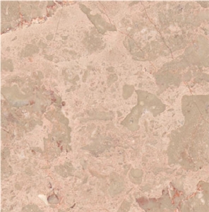 Breccia Limestone