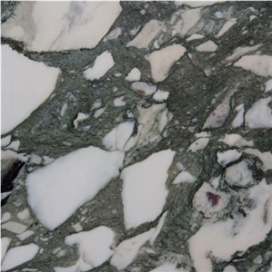 Breccia Verde Seravezza Marble Tile