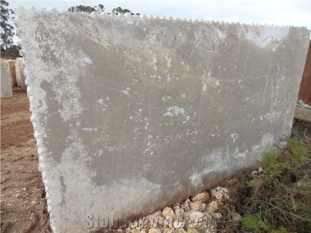 Brecha Maritima Limestone Slab