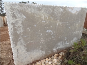 Brecha Maritima Limestone Slab