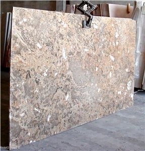 Brecha Maritima Limestone Slab
