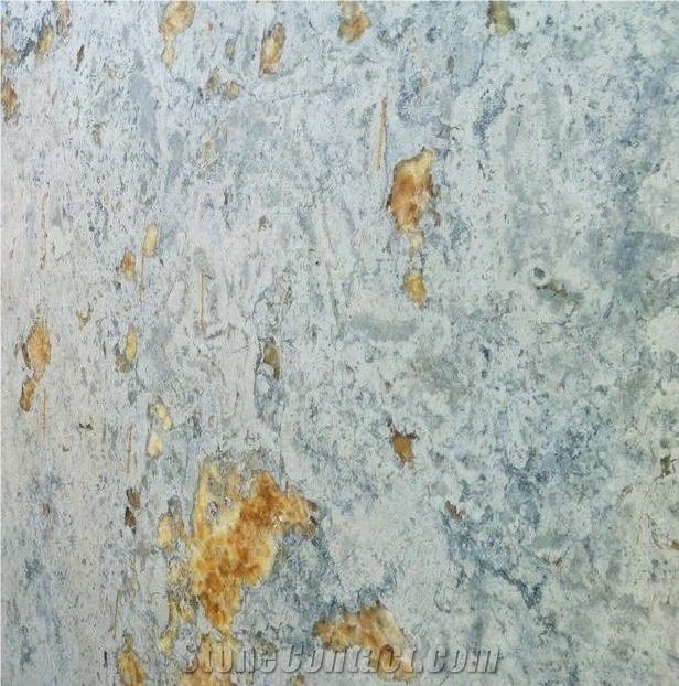 Brecha Maritima Limestone Tile