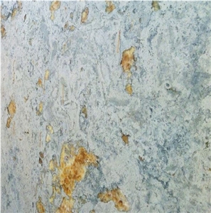 Brecha Maritima Limestone Tile