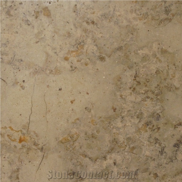 Brecha Maritima Limestone Tile