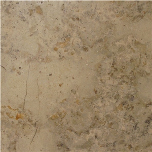 Brecha Maritima Limestone Tile
