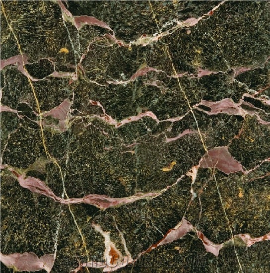 Breche Notre Dame Tile
