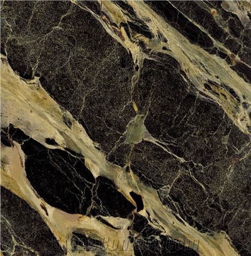 Breche Notre Dame Tile