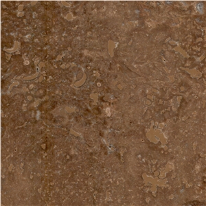 Brown Autumn Travertine Tile