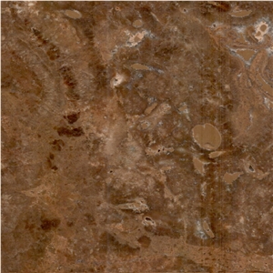 Brown Autumn Travertine Tile