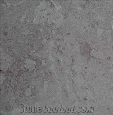 Brown Coral Stone importance=