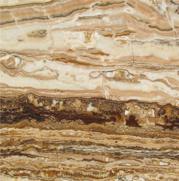Brown Fantasy Traonyx importance=