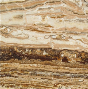 Brown Fantasy Traonyx