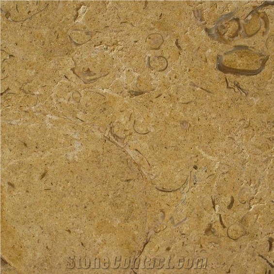 Brown Shell Limestone importance=