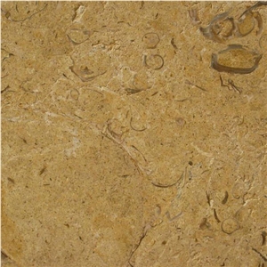 Brown Shell Limestone