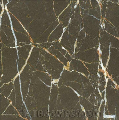Brown St. Laurent Marble importance=
