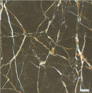 Brown St. Laurent Marble