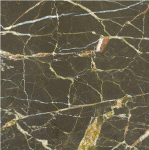 Brown St. Laurent Marble Tile