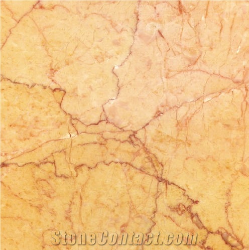 Buixcarro Amarillo Tile