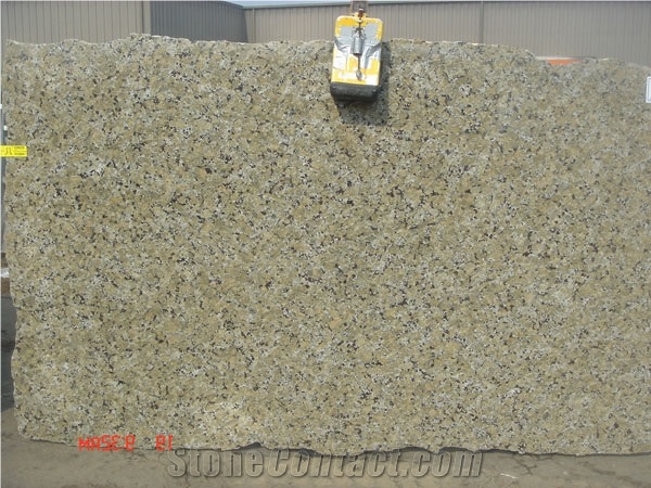 Butterfly Beige Granite Slab