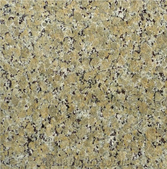 Butterfly Beige Granite Tile