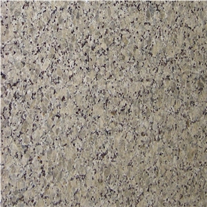 Butterfly Beige Granite Tile