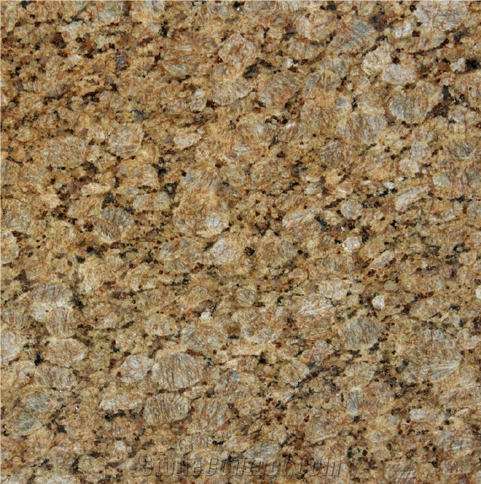 Butterfly Gold Granite Tile