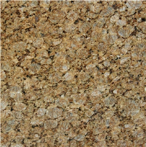 Butterfly Gold Granite Tile