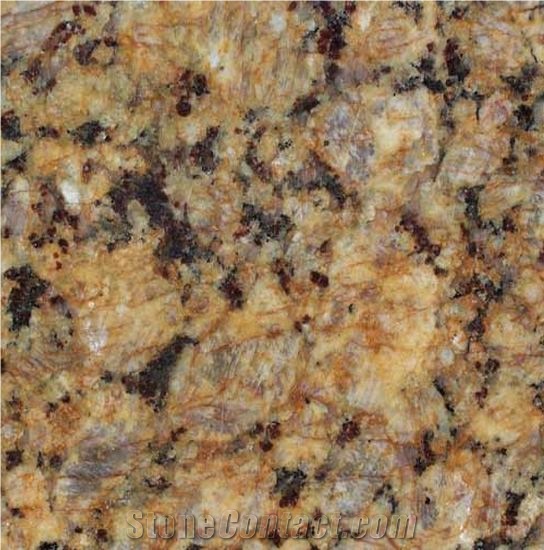 Butterfly Gold Granite Tile