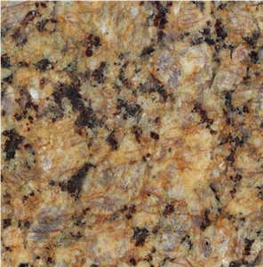 Butterfly Gold Granite Tile