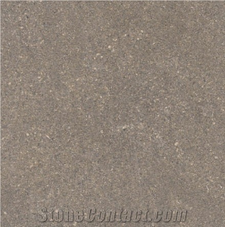 Buxy Bleu Tile