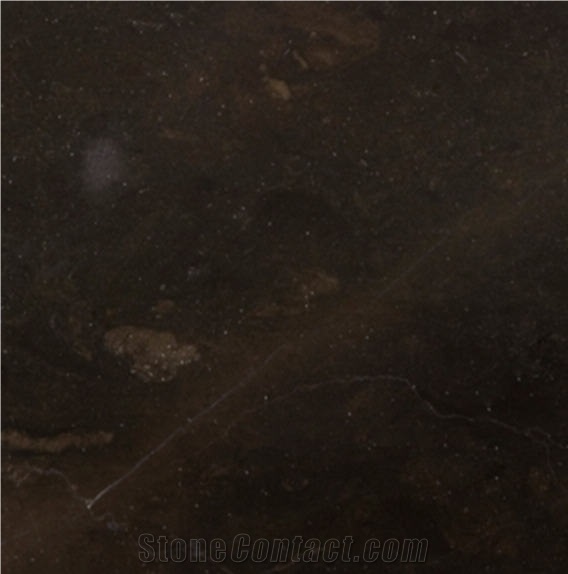 Caesar Brown Marble Tile