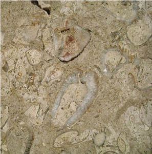Cafe Pinta Limestone Tile