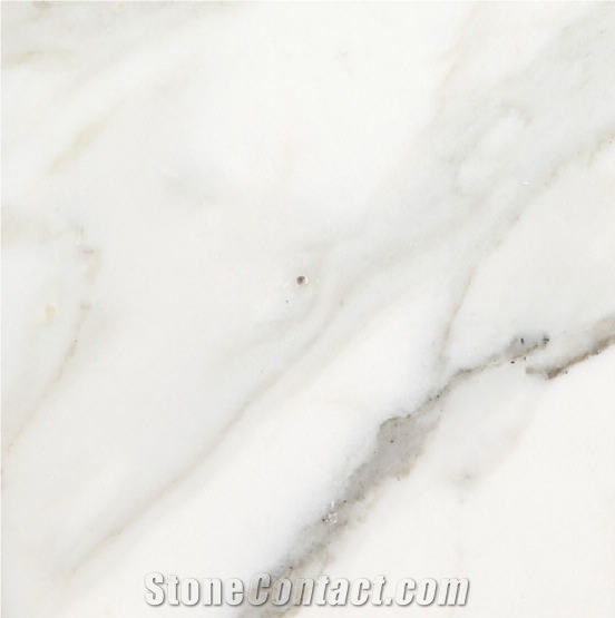 Calacatta Bettogli importance=
