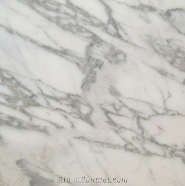 Calacatta Campocecina Tile