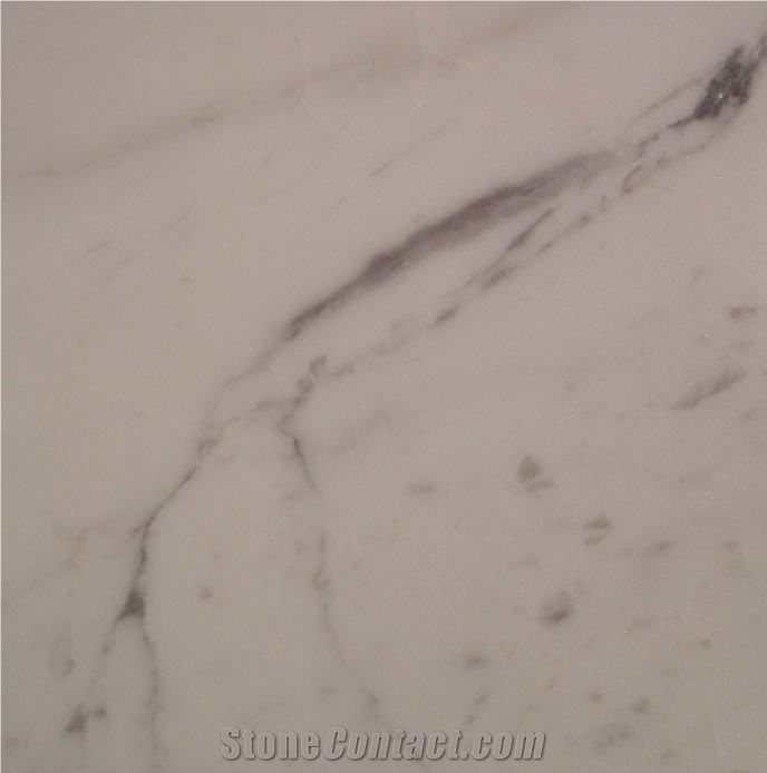 Calacatta Lucina Tile