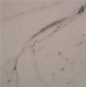 Calacatta Lucina Tile