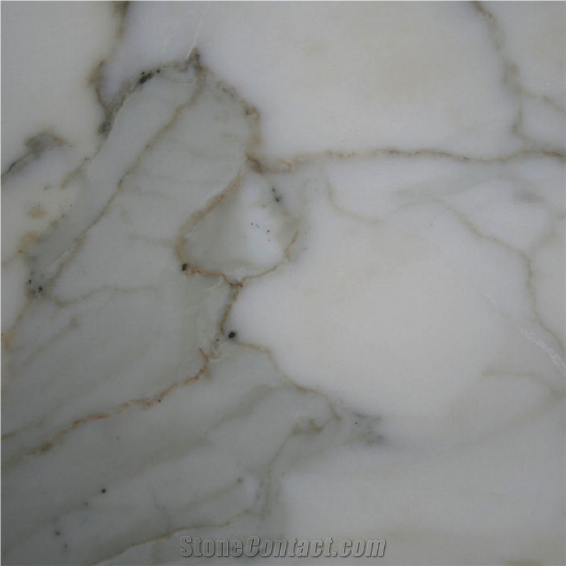 Calacatta Luna Marble importance=