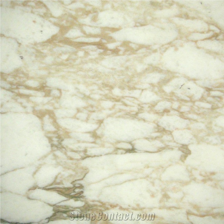 Calacatta Luna Marble Tile